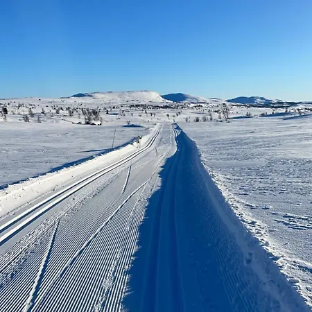 A Cozy, Rustic Retreat With Fireplace And Terrace * Beitostolen