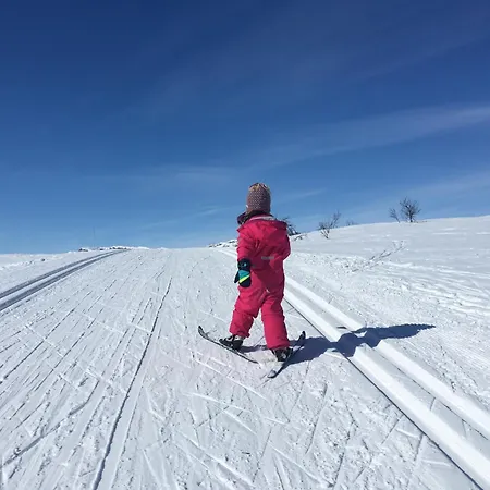 A Cozy, Rustic Retreat With Fireplace And Terrace Beitostolen