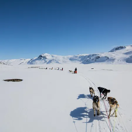 別荘 A Cozy, Rustic Retreat With Fireplace And Terrace Beitostolen