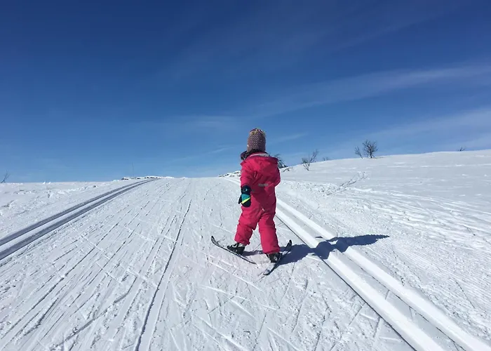 A Cozy, Rustic Retreat With Fireplace And Terrace Beitostolen