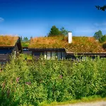 A Cozy, Rustic Retreat With Fireplace And Terrace Сasa de vacaciones